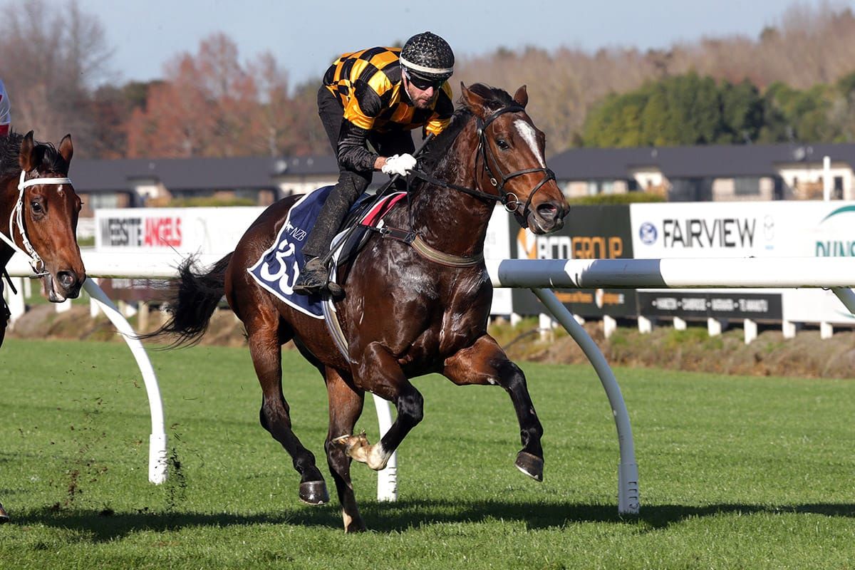 Exciting spring tipped for Team Rogerson