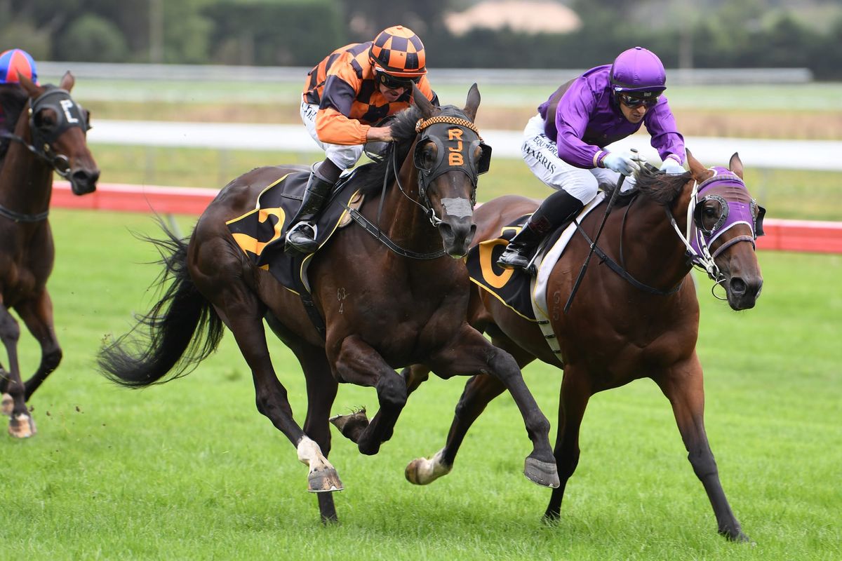 Bergerson looking forward to Awapuni return