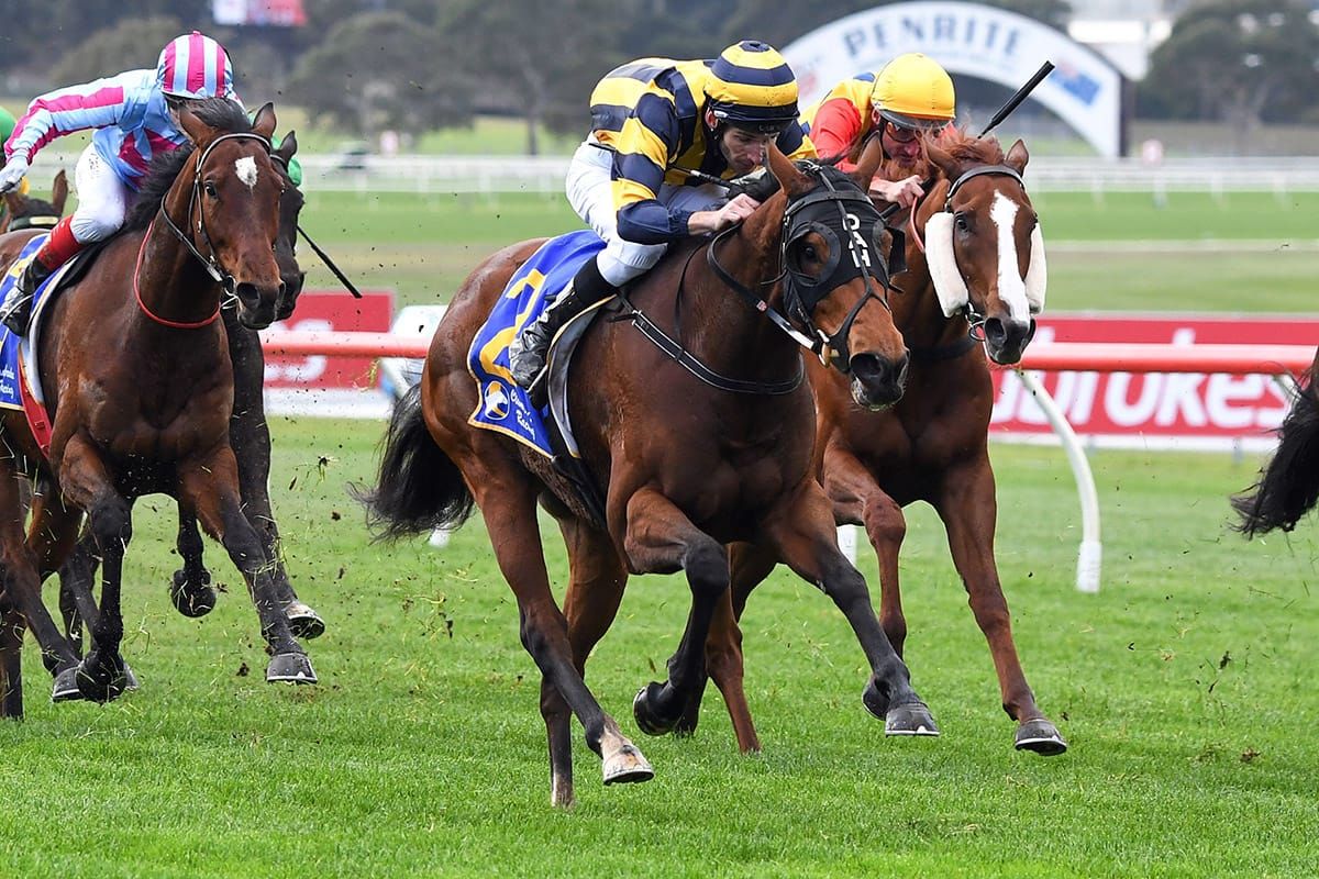 Tavistock filly flies home for Lindsay Park