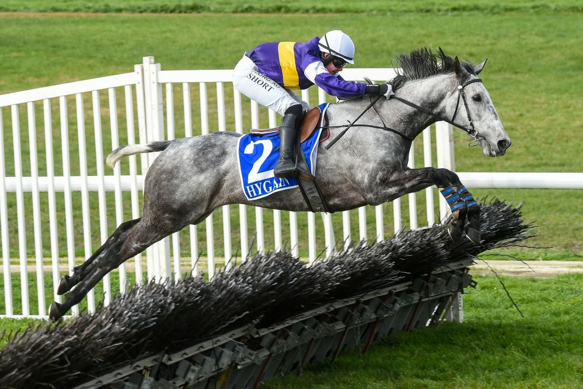 Steeplechase features beckon Woodsman