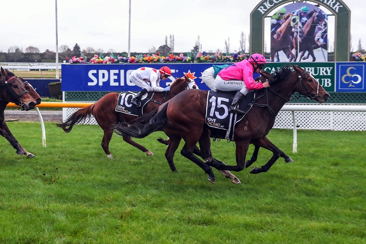 Magical opening to Riccarton meeting