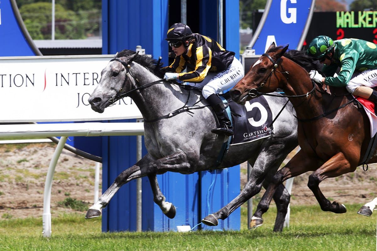 Hayward ready for Battle