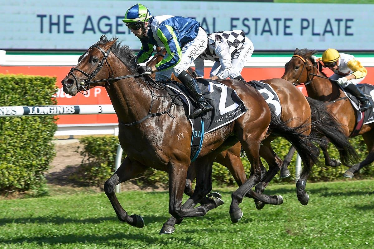 Brandenburg trials in preparation for G1