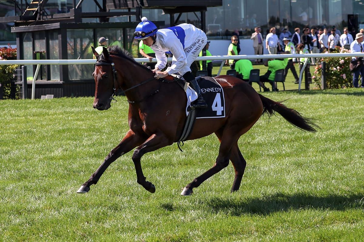 Sydney sprint options beckon Catalyst