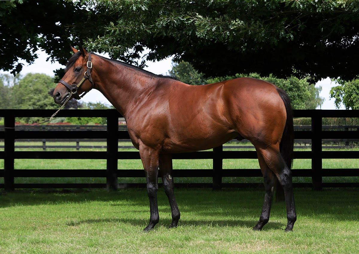 Charm Spirit goes back-to-back