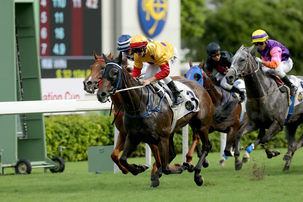 Fownes chases yet another Premier Plate success