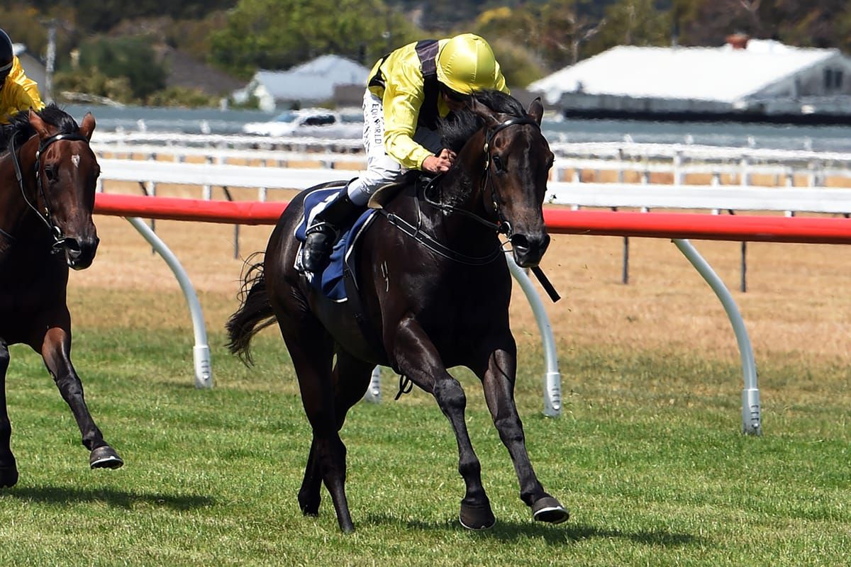 Wiles puts his faith in Warrior