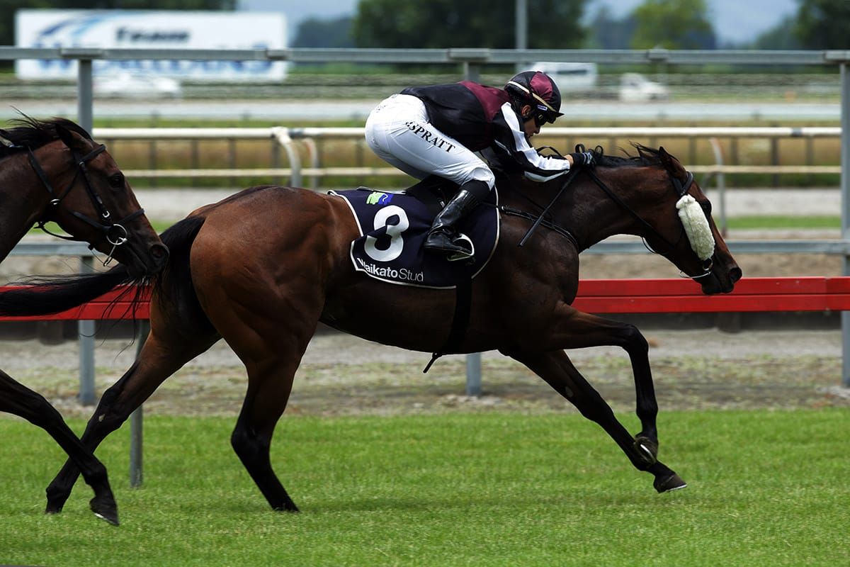 Local trainer hoping for the rub of the Greene