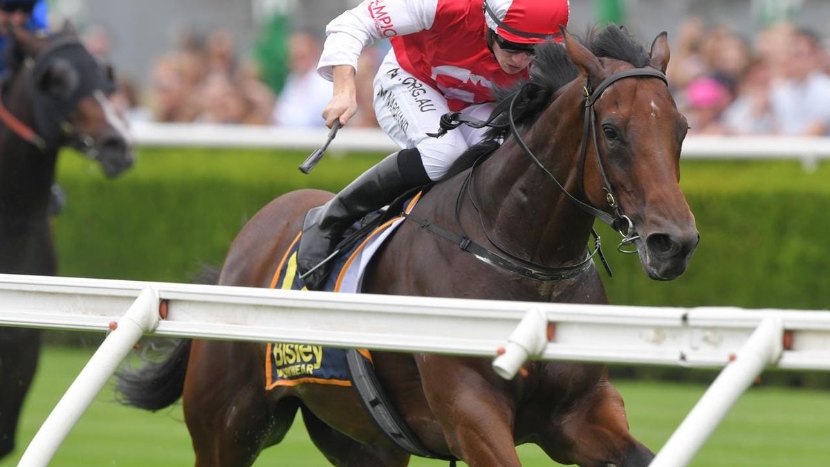 Southern Lad on target for Ramornie Handicap