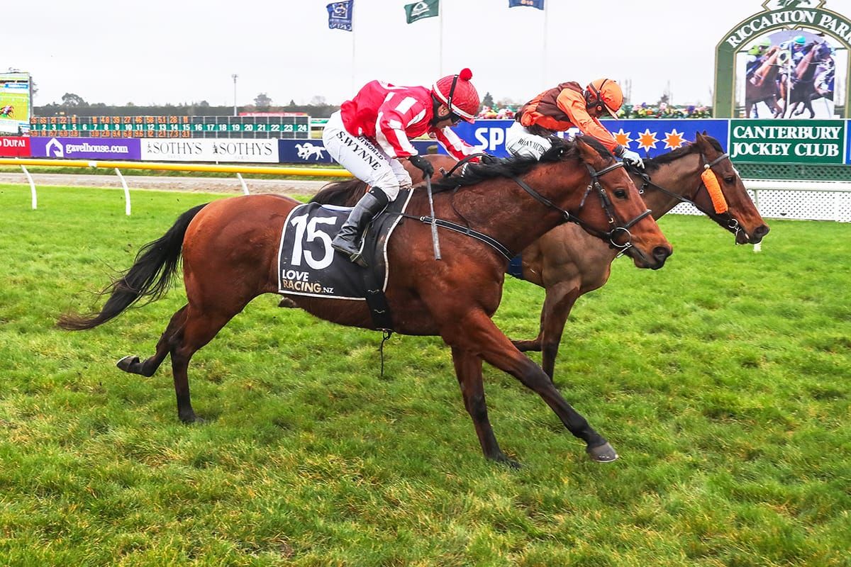 Local assignment for Gore warhorse