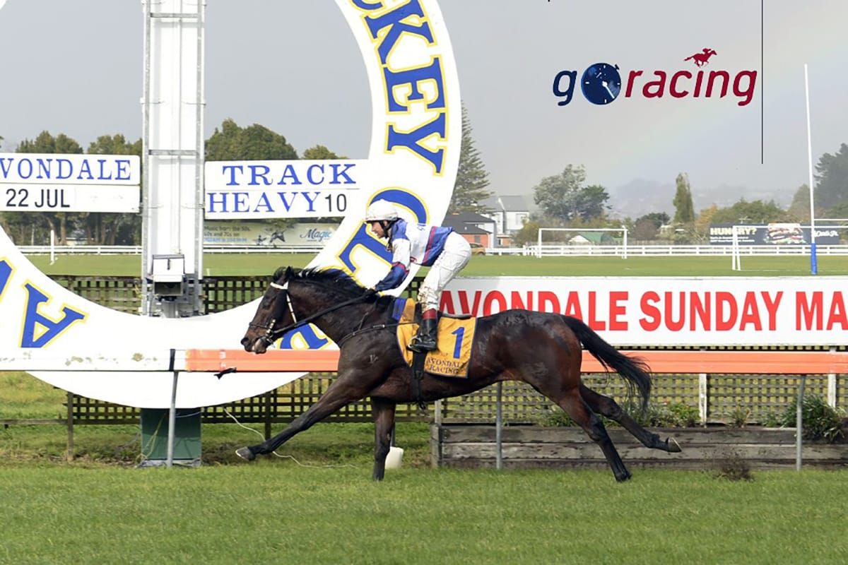 Avondale win for Make Time