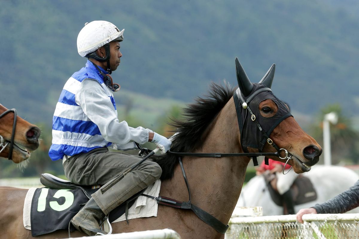 Megeve primed for Avondale resumption