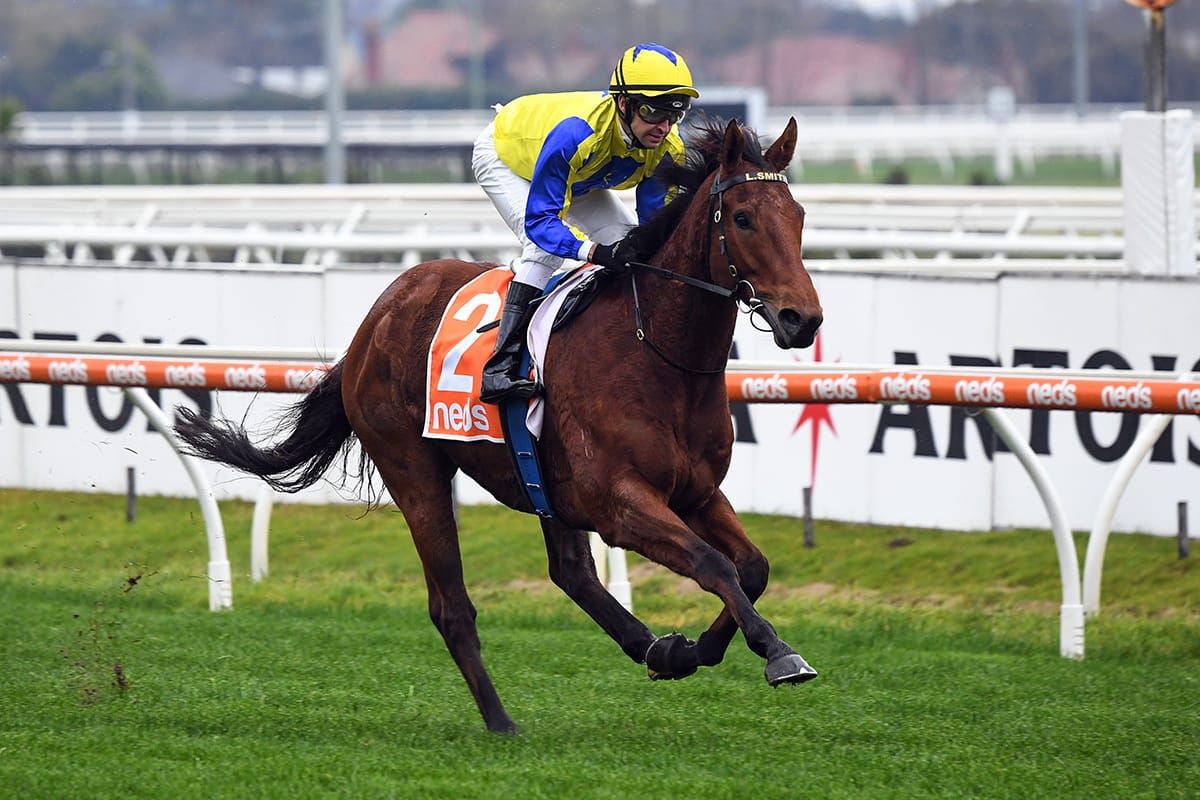 Mystery Shot out to continue winning roll