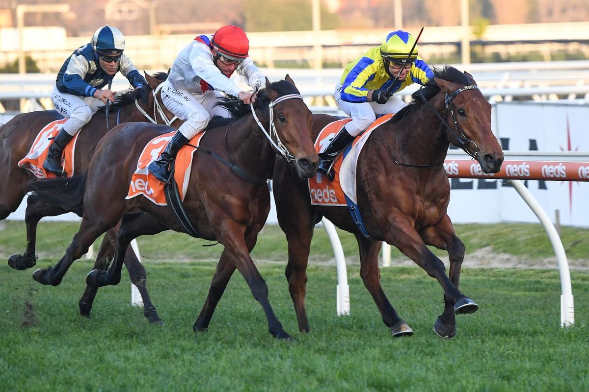 Mystery Shot makes it five on the trot