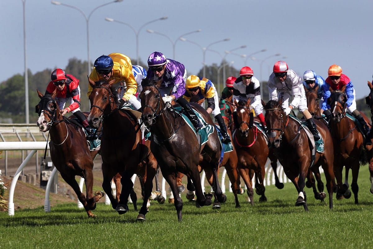 New editor at the helm of RaceForm