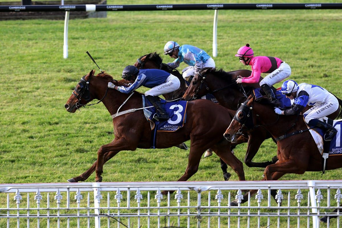 Redcayenne upsets at Ellerslie