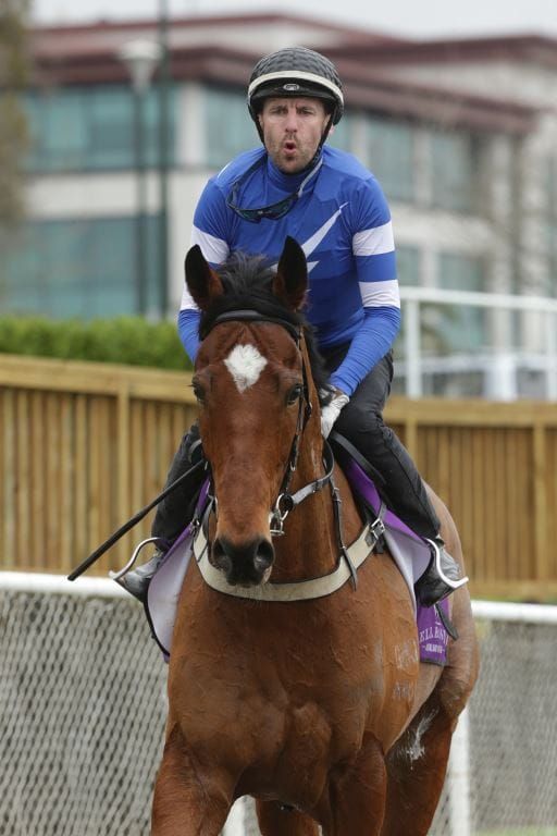 Pike team out in force at Ellerslie