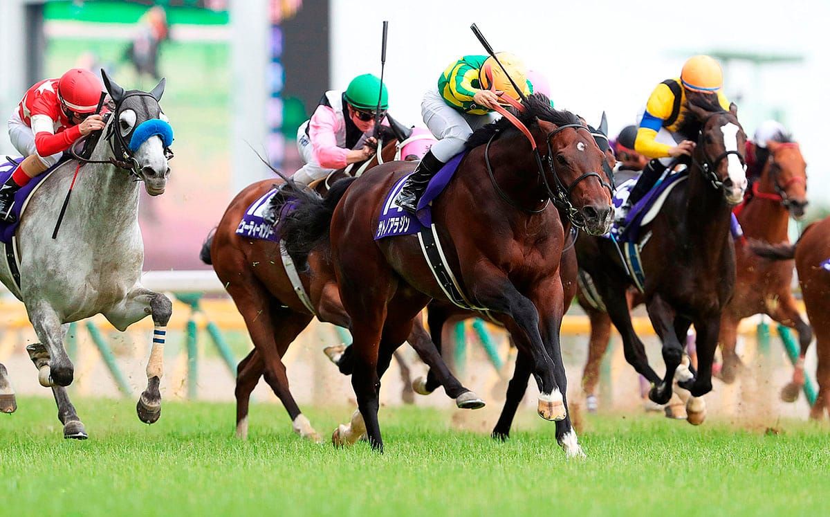 Positive results for Satono Aladdin