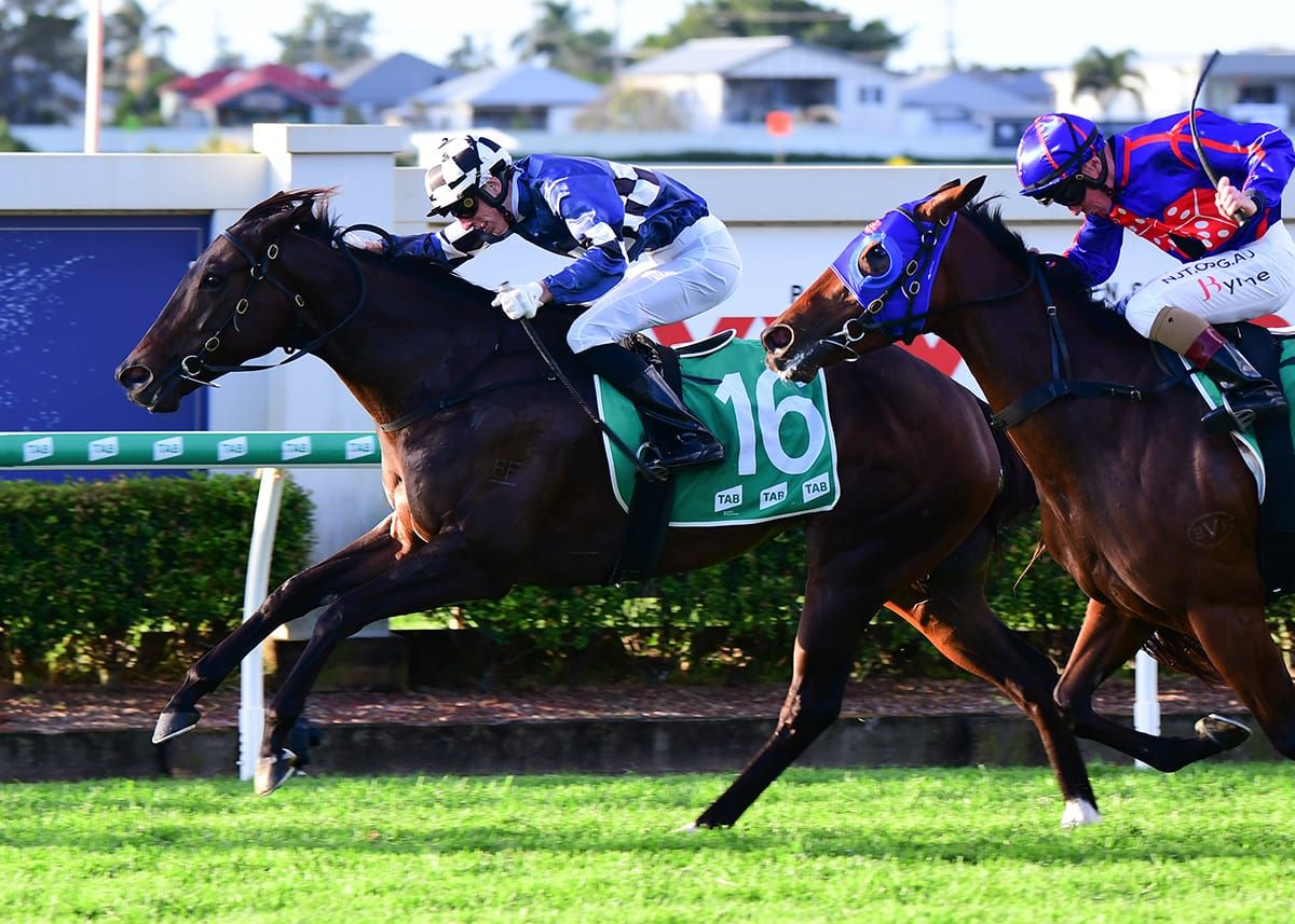 Shalwa looking to bow out in style