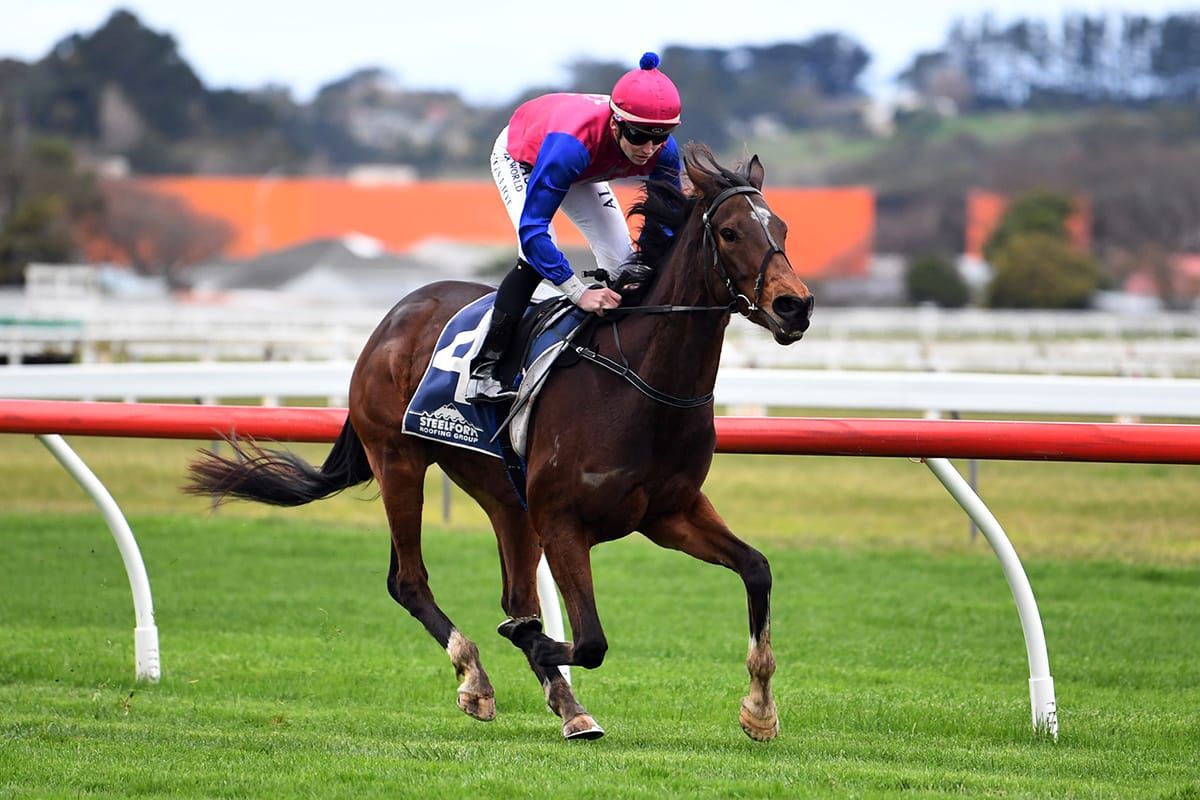 Speed Call primed for Cup tilt