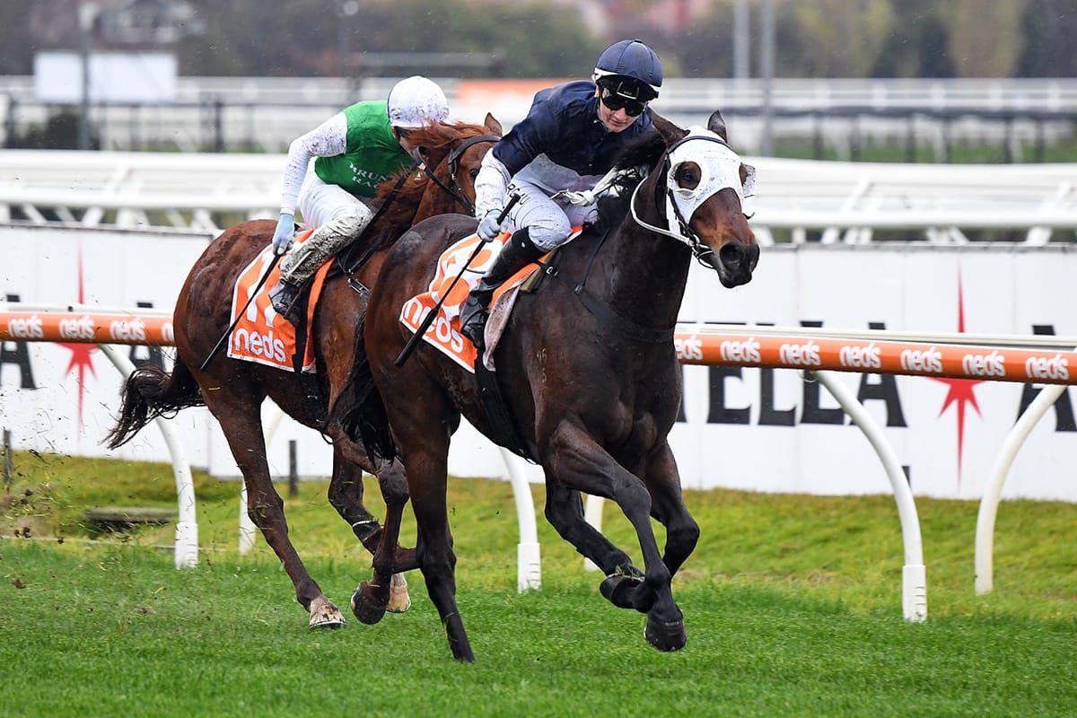 Tavidance stepping through grades