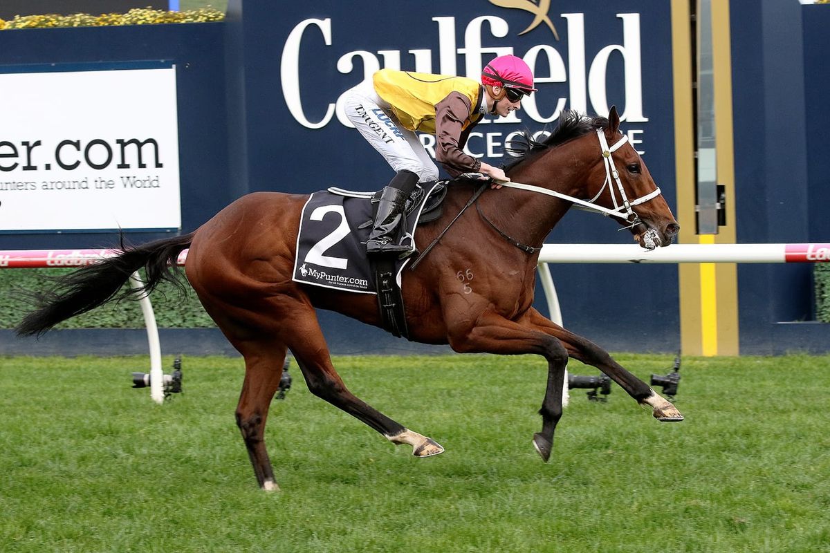 Tavirun primed ahead of Saturday