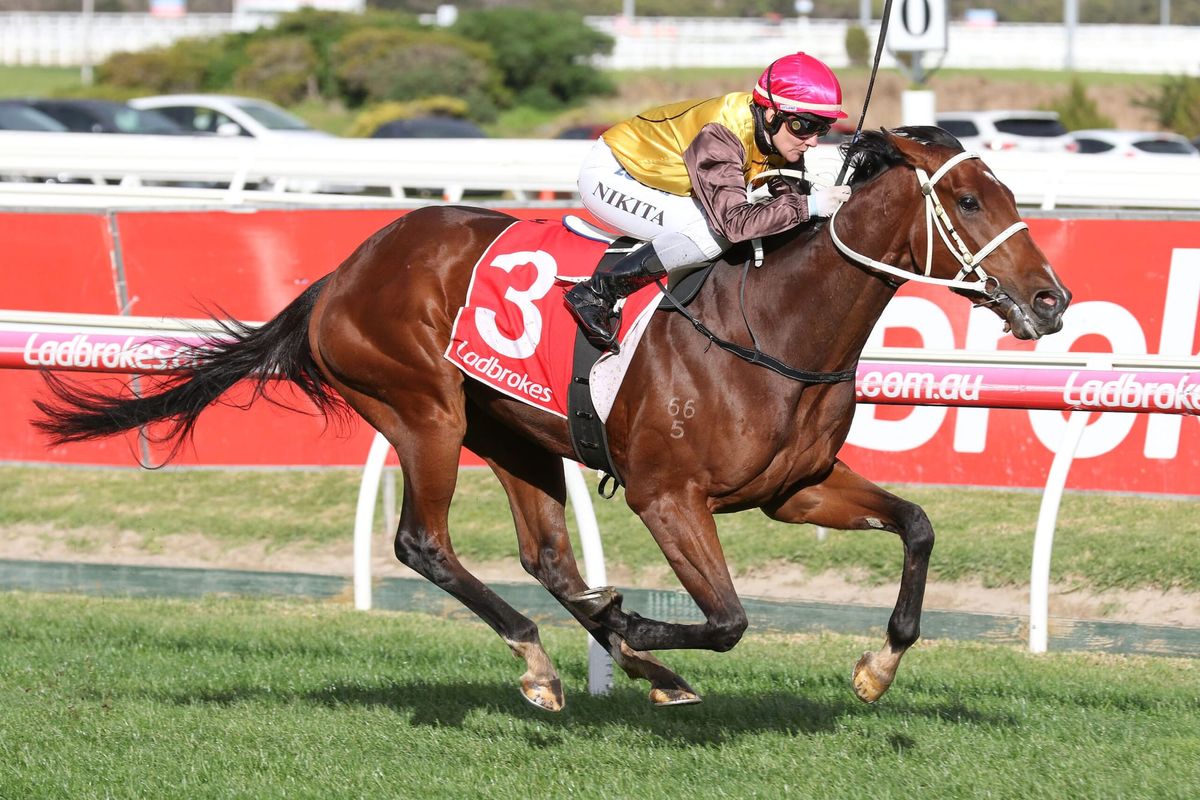 Tavirun chasing successive victories