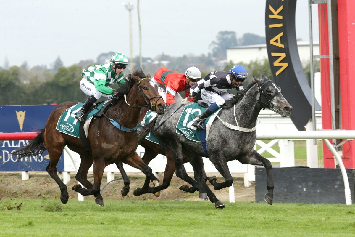 Tellyawhat scores for Sharrock at Te Rapa