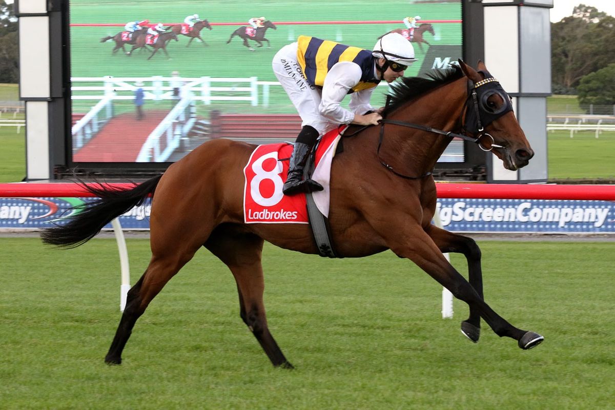 Tigre scores tough win at Randwick