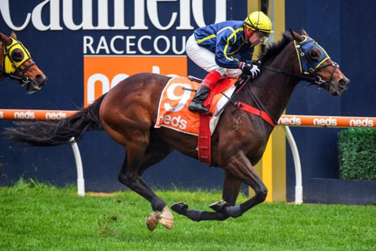 Groundhog day for Travimyfriend