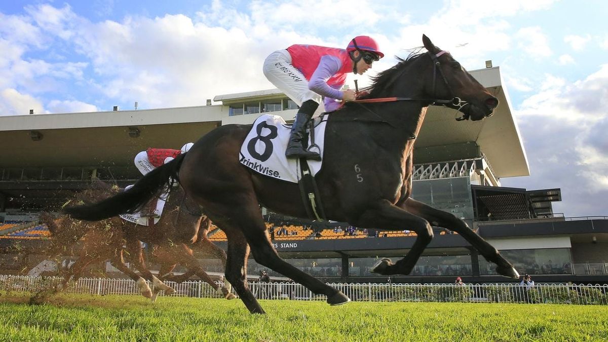 Winter Stakes next target for Trumbull