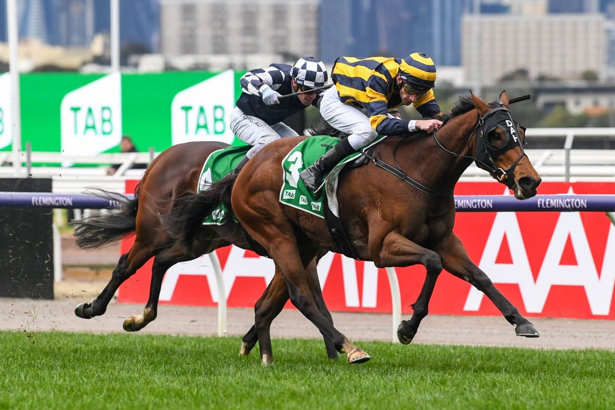 Tavistock filly flies at Flemington