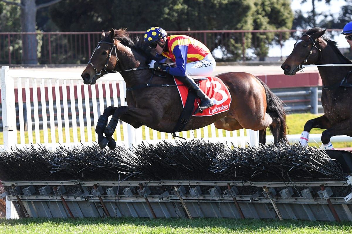 NZ jumpers dominate Sandown meeting