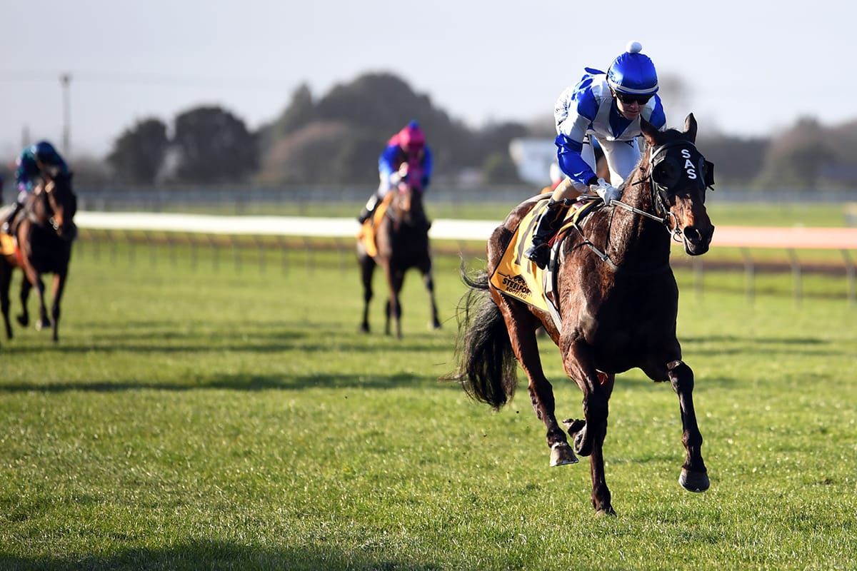 Sharrock and Schofer dominate at Hawera