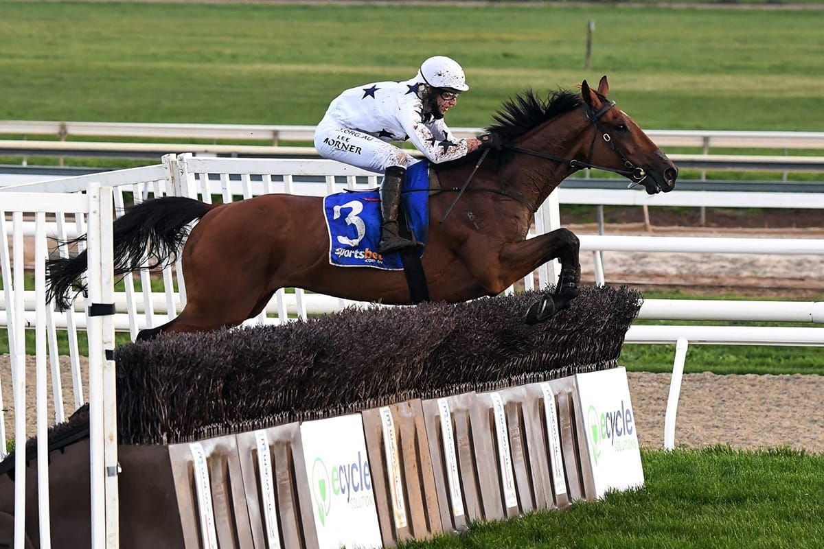Bee Tee Junior takes Australian Grand National Steeplechase