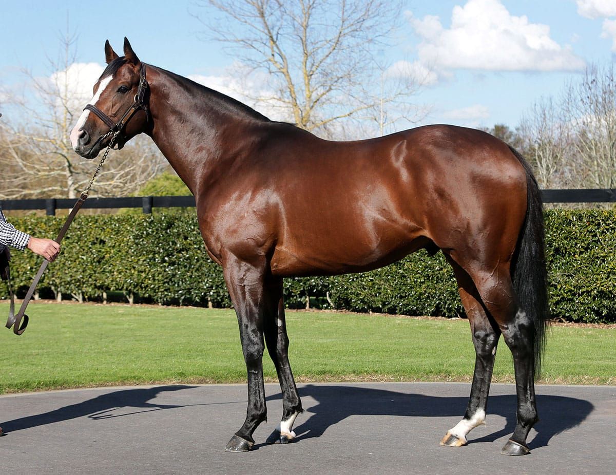 First stakes success for Belardo as Isabella Giles dominates at Goodwood