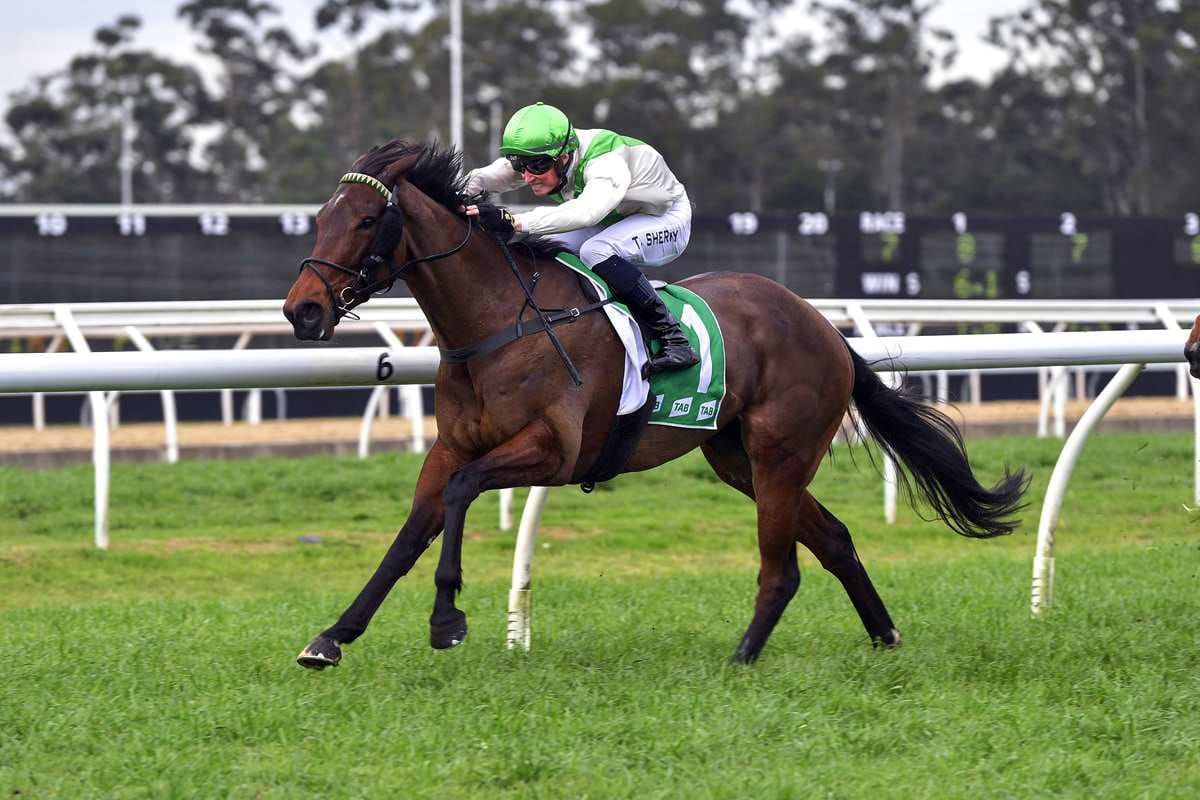 Australia no bother for Kiwi mare