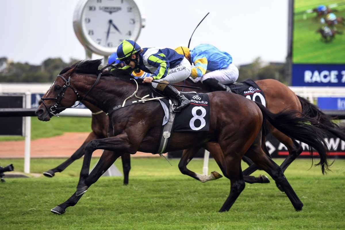 Winx a moment of truth for Brandenburg