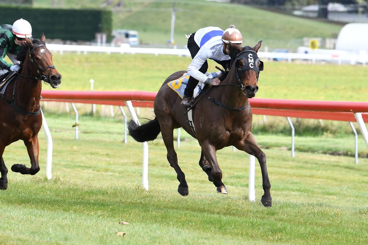Catalyst pleases in Taupo trial