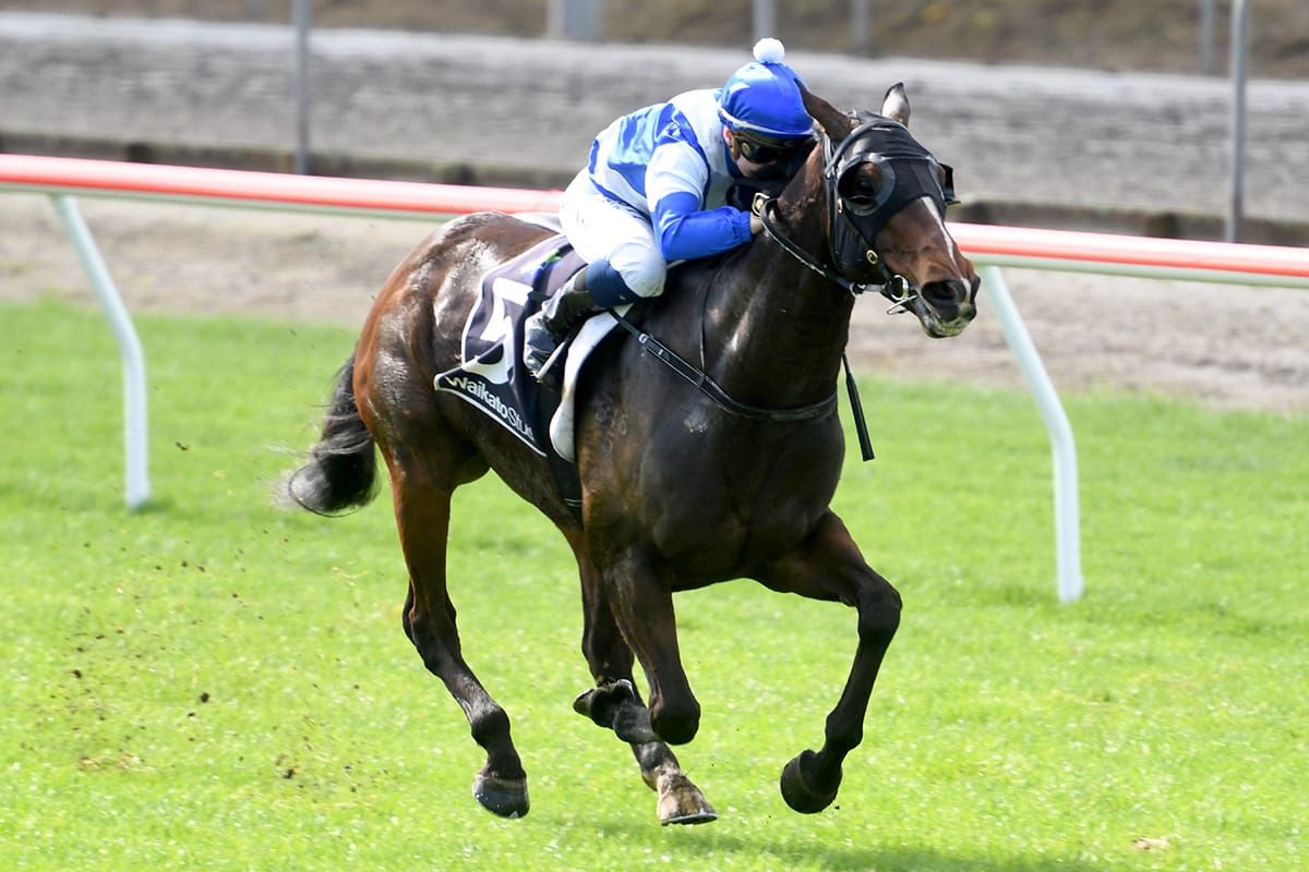 New partnership on the board with stylish victory at Matamata