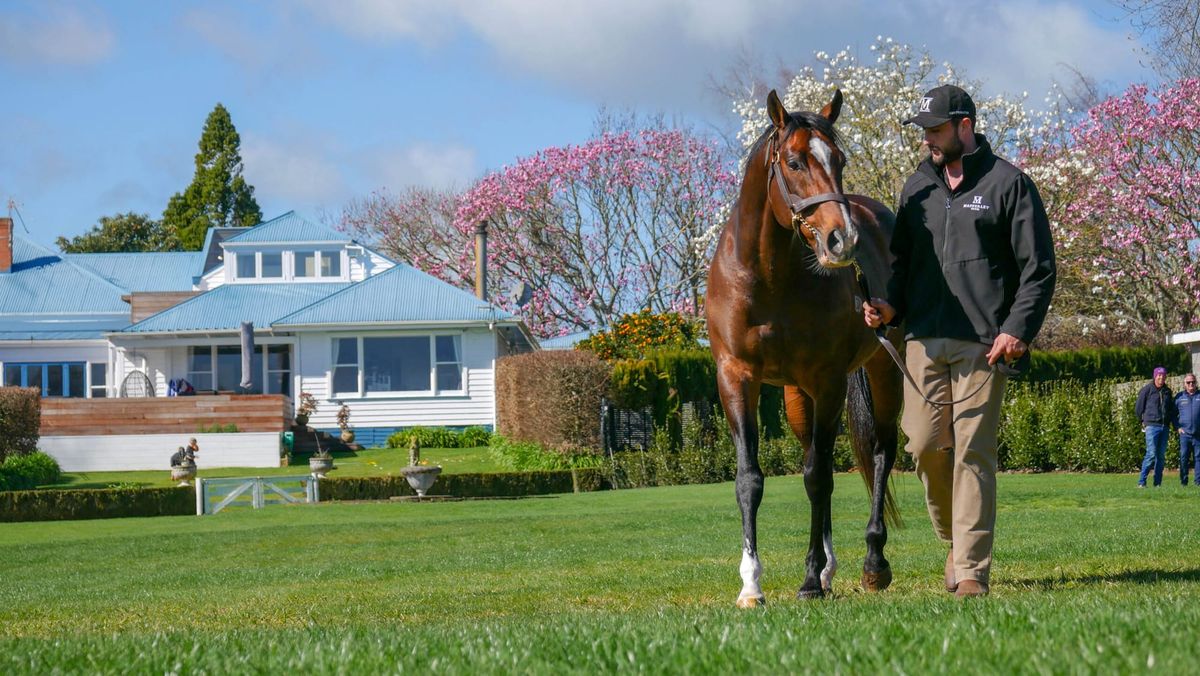 Stallion Parade cancelled