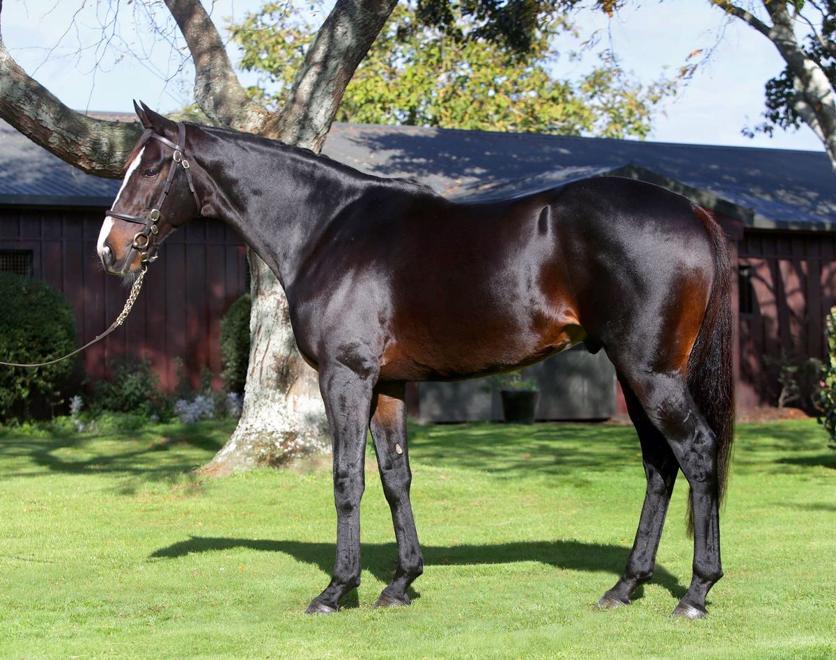 Brighthill launch Pearl Series bonus