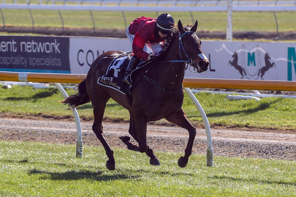 Rae filly impresses with Riccarton victory