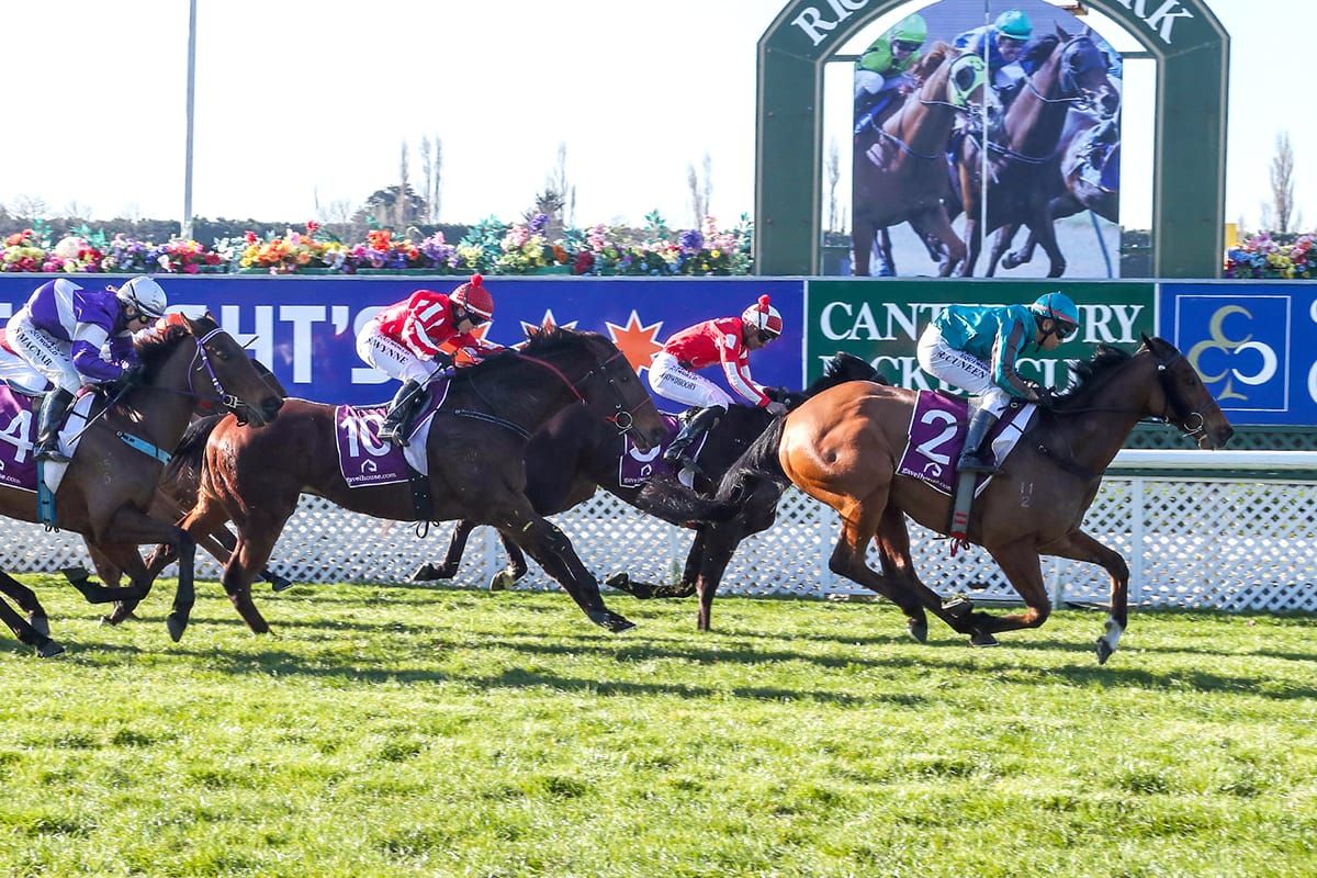 Strong Saturday book as Cuneen rekindles Kiwi career