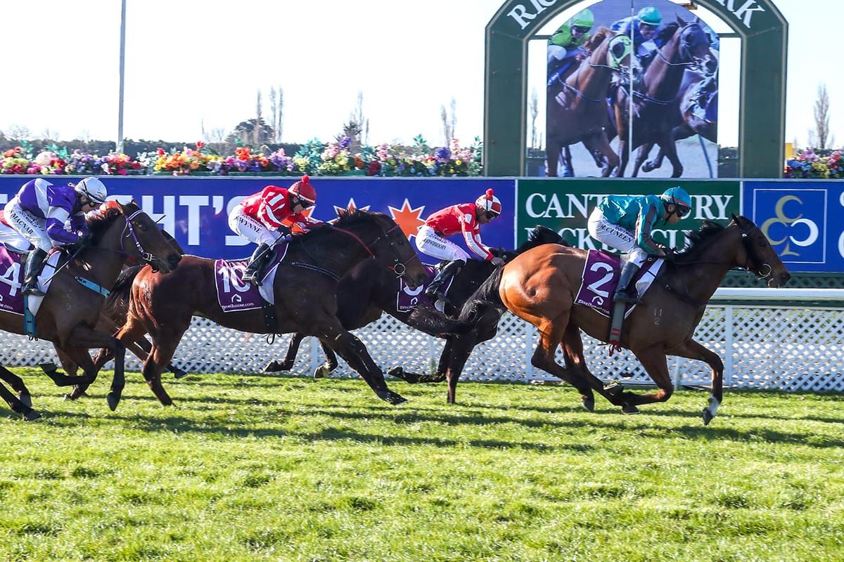 Class galloper back to winning form at Riccarton