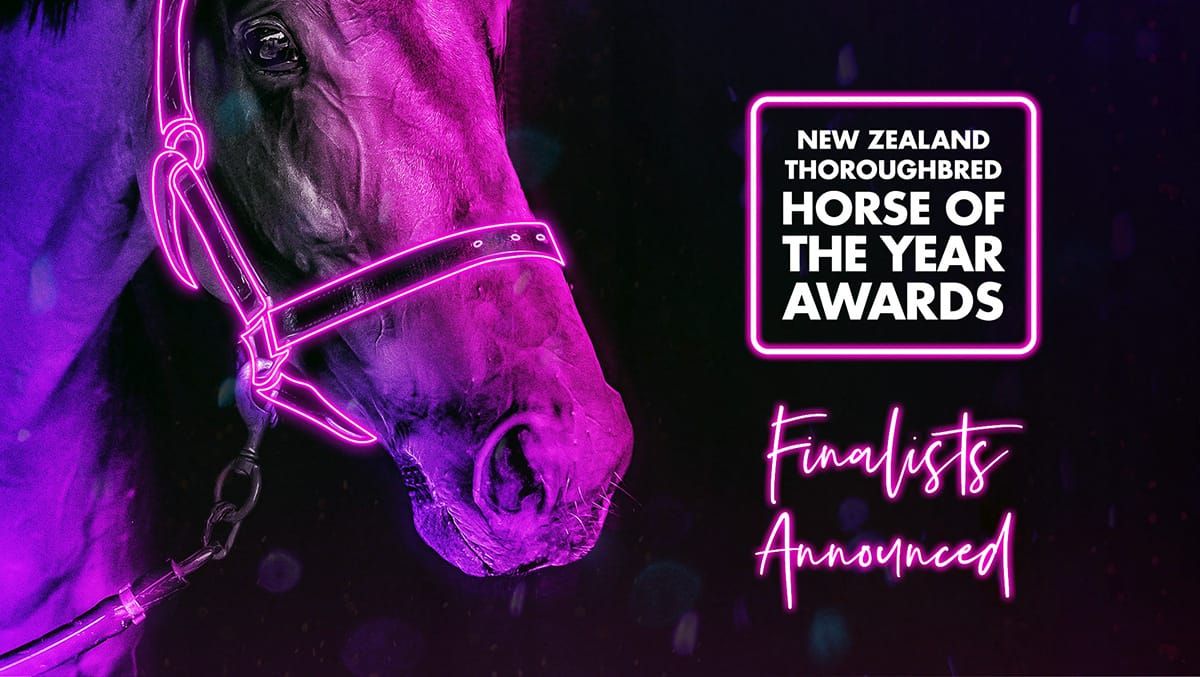 New Zealand Thoroughbred Horse Of The Year Awards Finalists