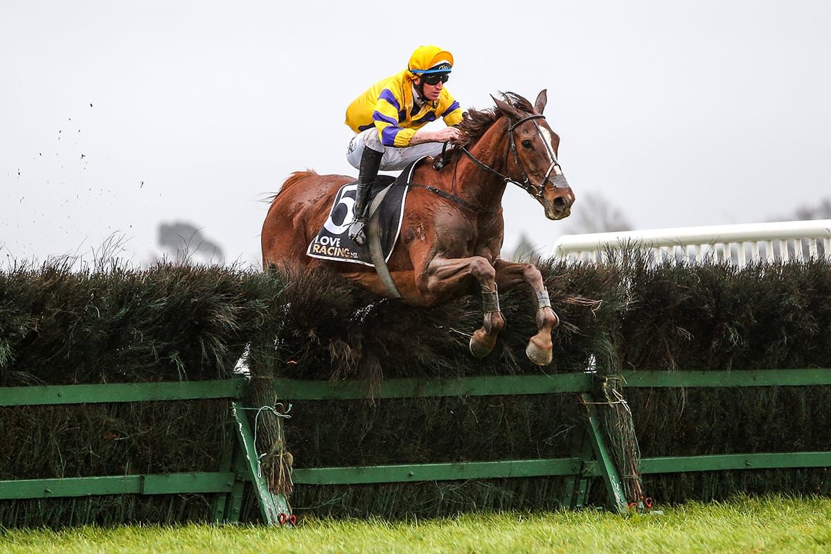 Wilson targets Te Rapa jumps features