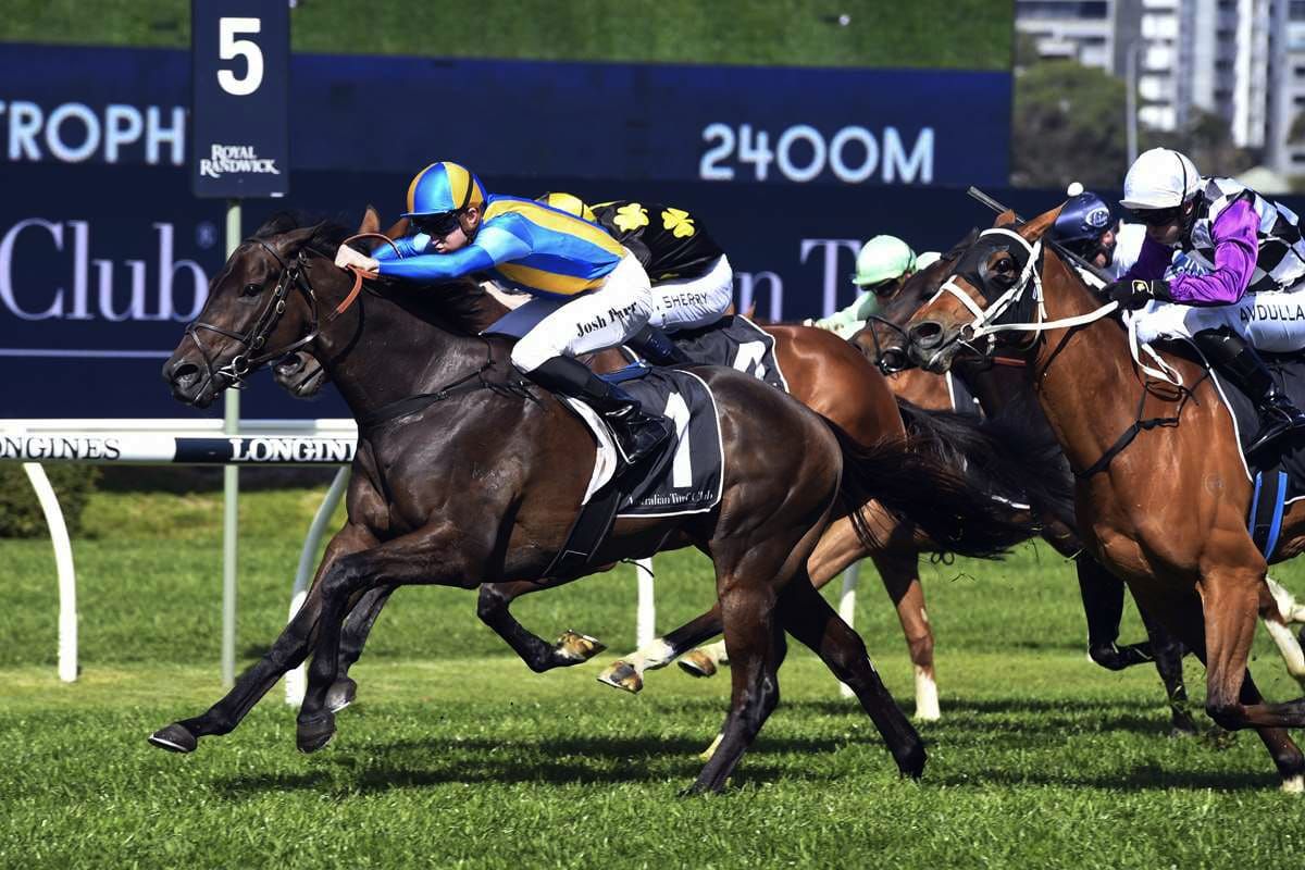 Kiss The Bride returns a winner for Josh Parr