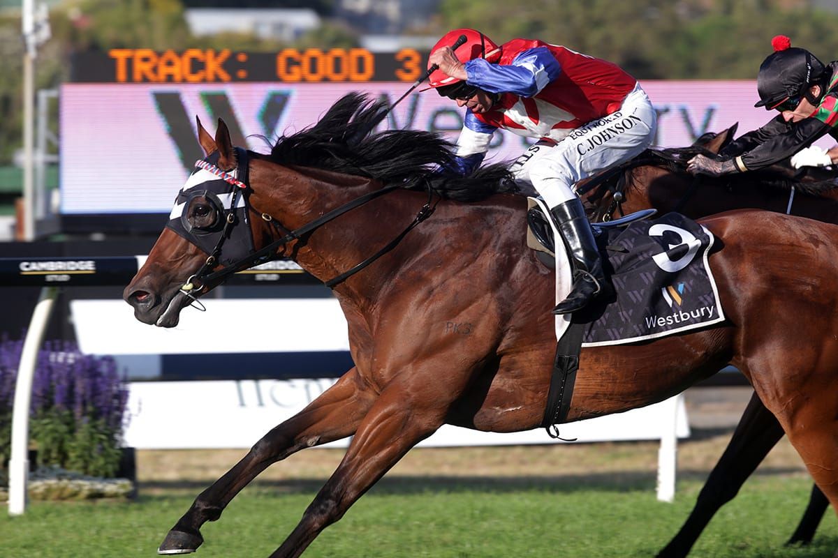 Kiwi Ida thriving ahead of Tarzino