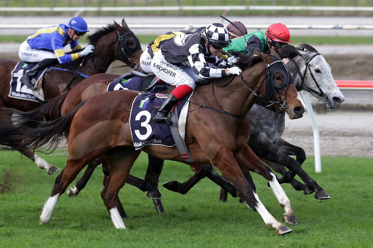 Sharrock holds strong hand at Matamata